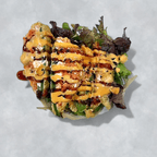 Best Sexy Jalapeno in Wausau, WI