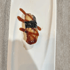 Best Eel in Wausau, WI