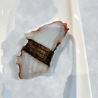 Best Octopus in Wausau, WI